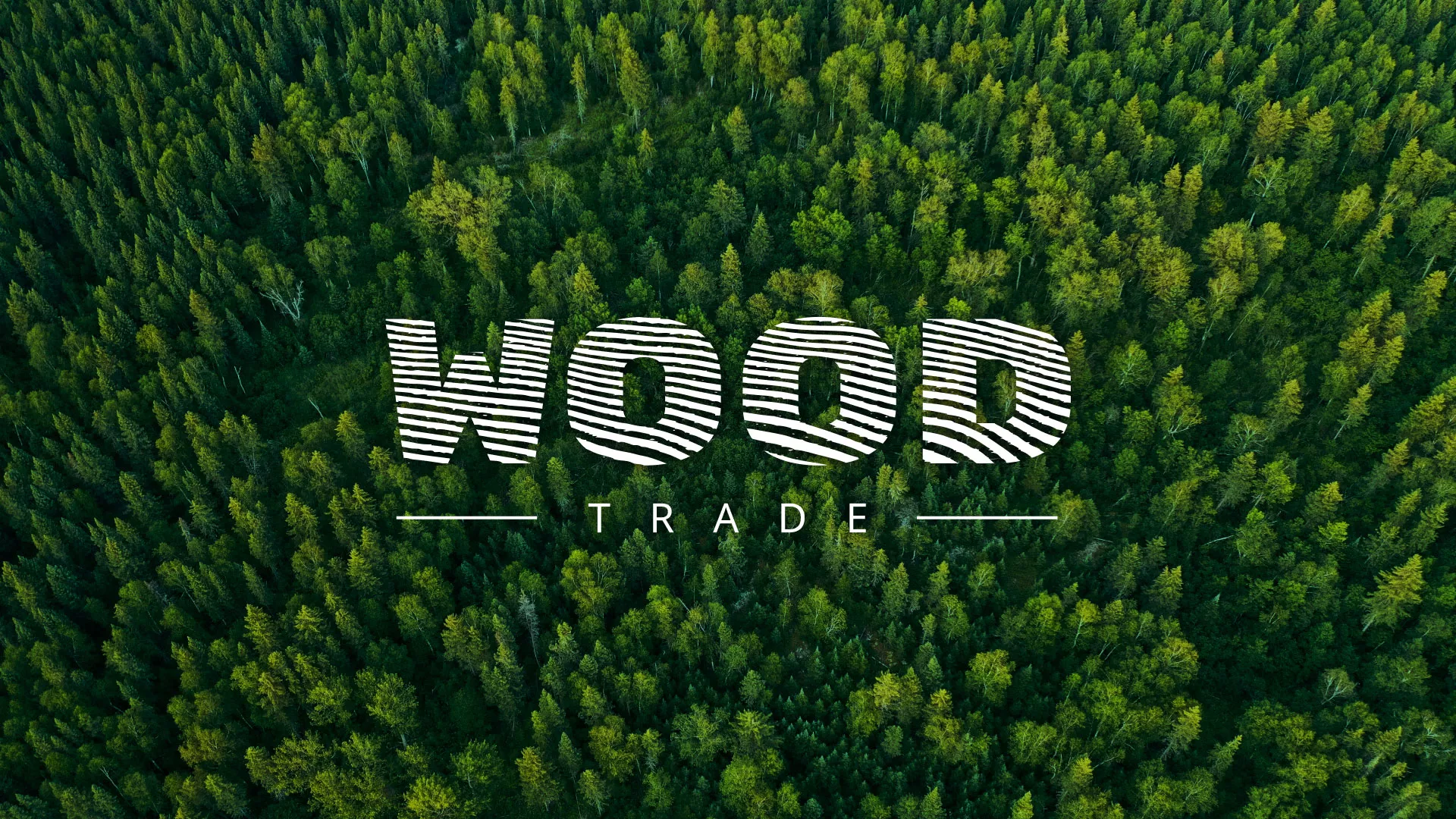 Разработка интернет-магазина компании «Wood Trade» в Медвежьегорске